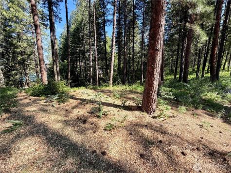 11 Highland Meadows Winthrop WA 98862