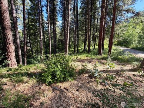 11 Highland Meadows Winthrop WA 98862