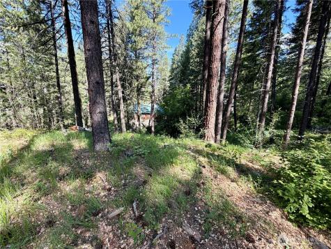 11 Highland Meadows Winthrop WA 98862