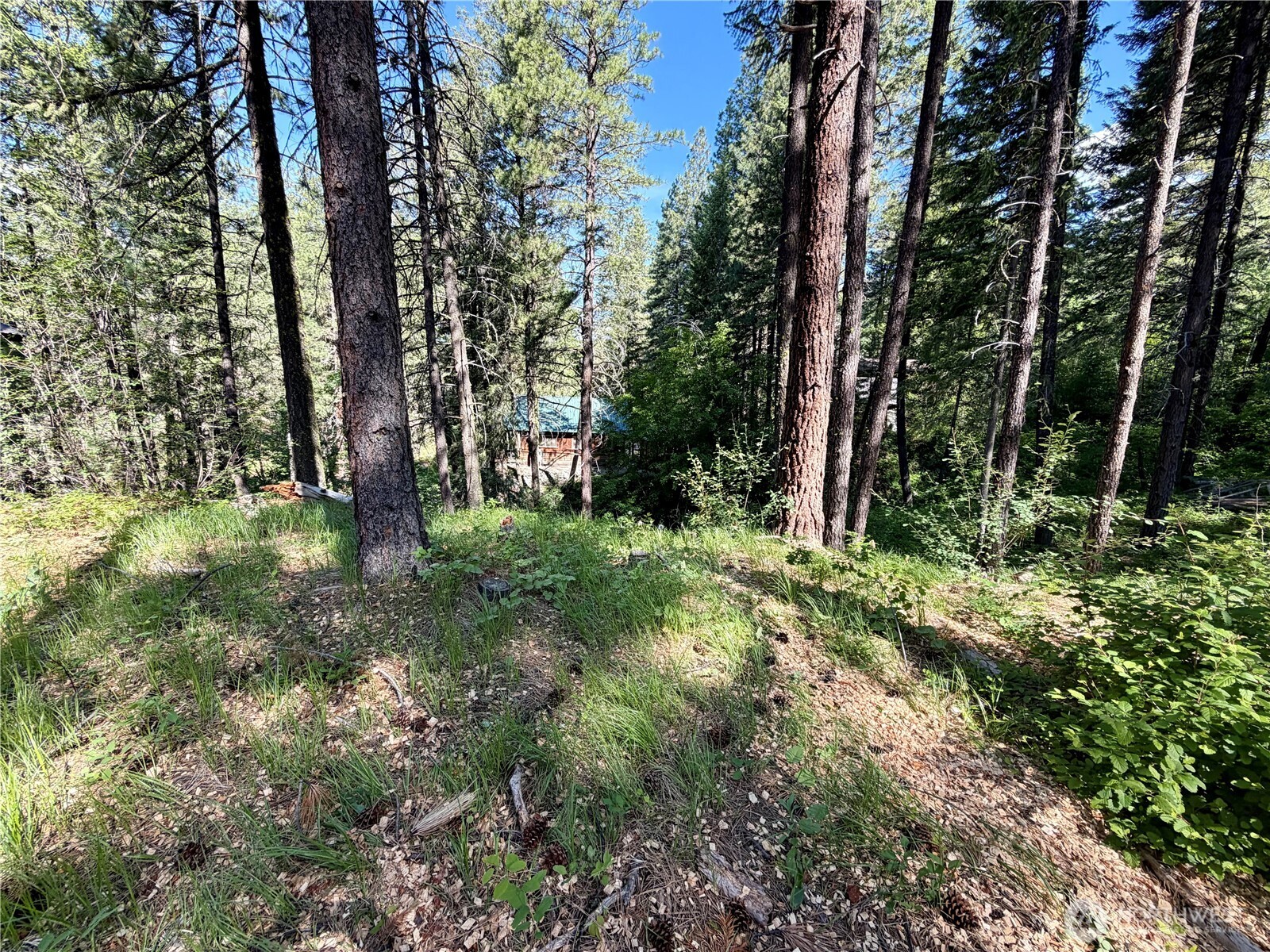 11 Highland Meadows Winthrop WA 98862
