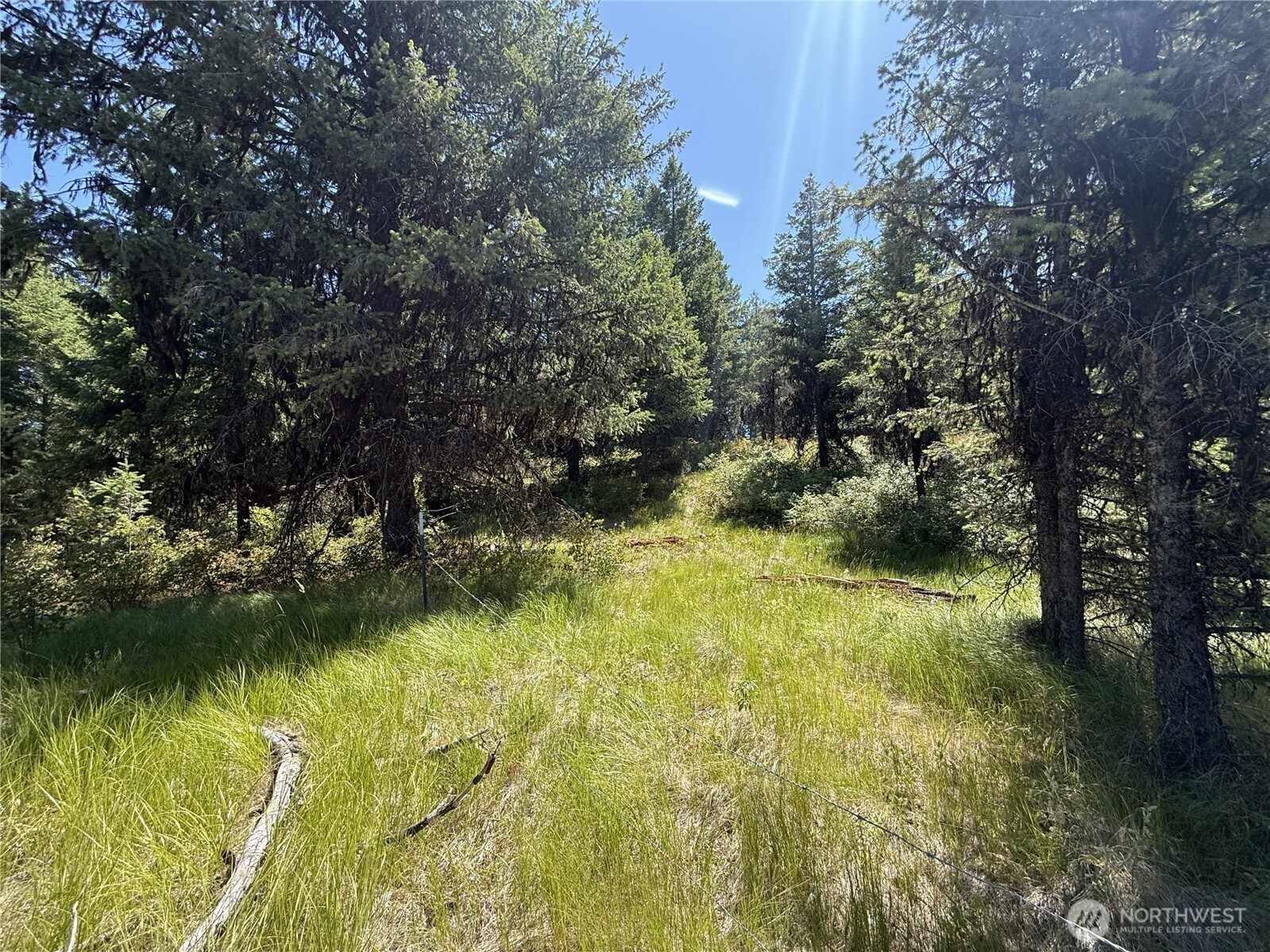 135 Slippery Hill Lane Republic WA 99166