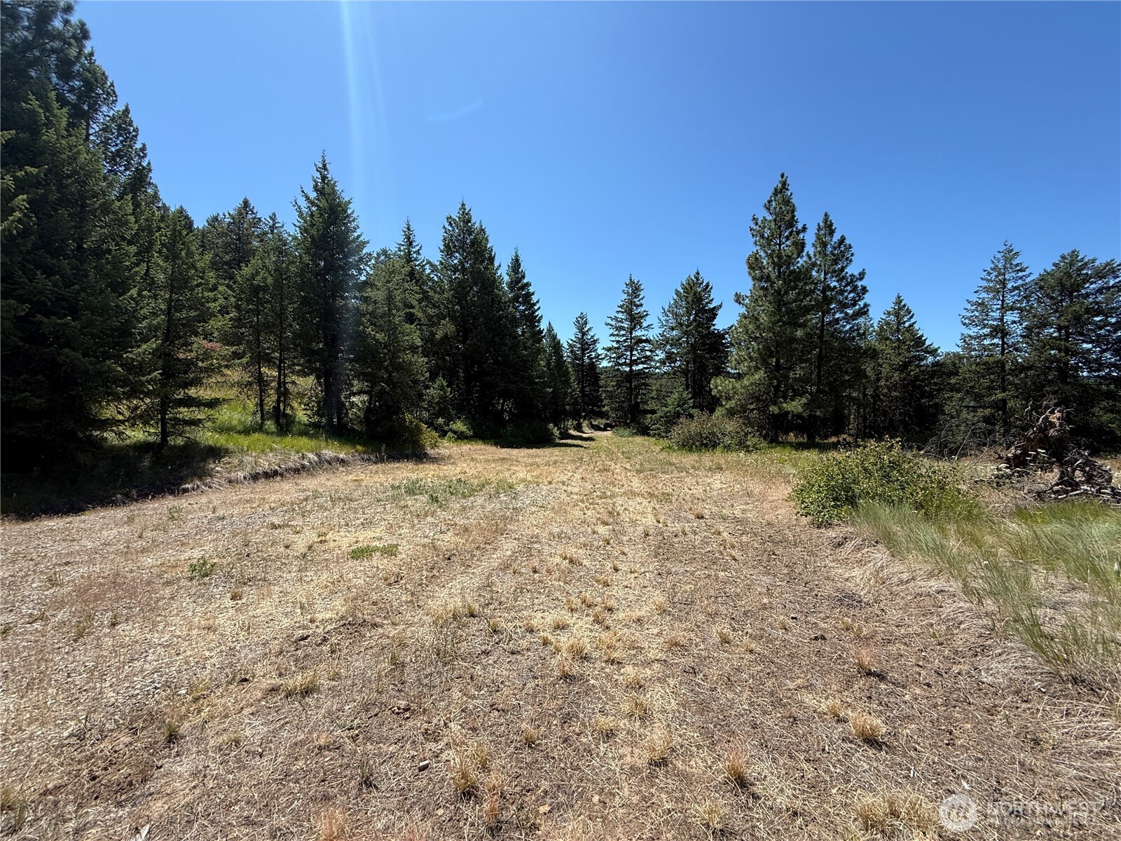 135 Slippery Hill Lane Republic WA 99166