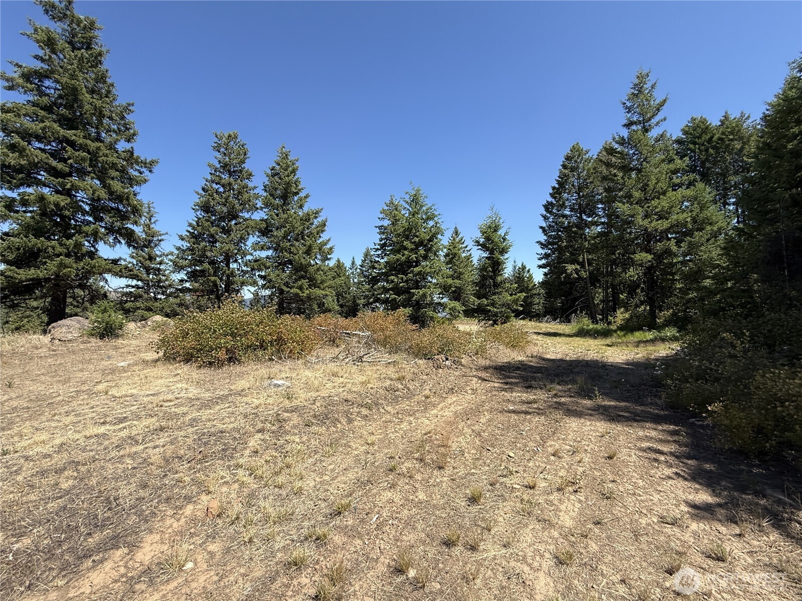 135 Slippery Hill Lane Republic WA 99166