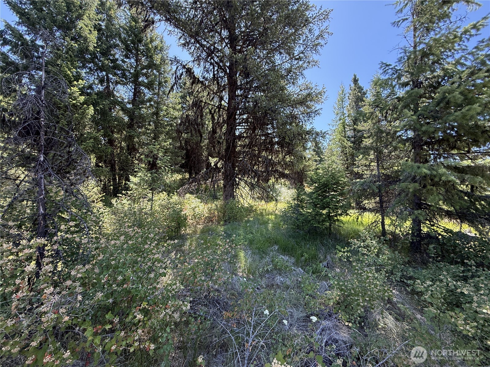 135 Slippery Hill Lane Republic WA 99166