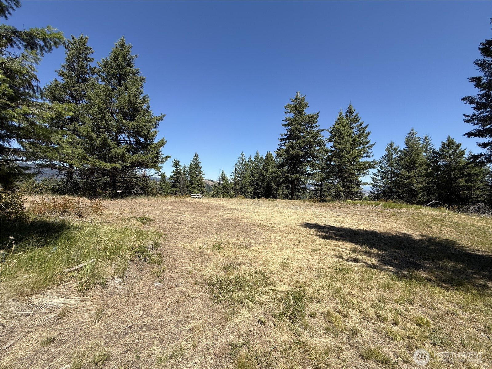 135 Slippery Hill Lane Republic WA 99166