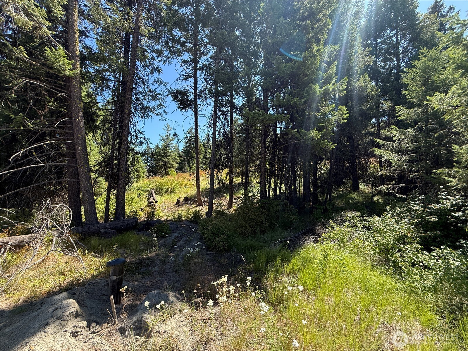 135 Slippery Hill Lane Republic WA 99166