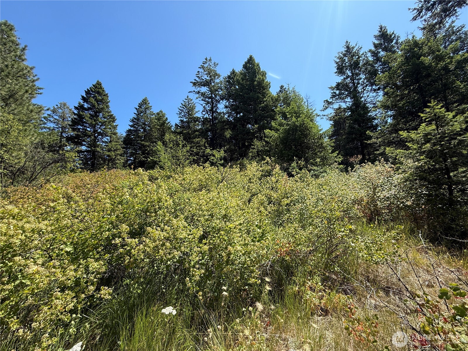 135 Slippery Hill Lane Republic WA 99166