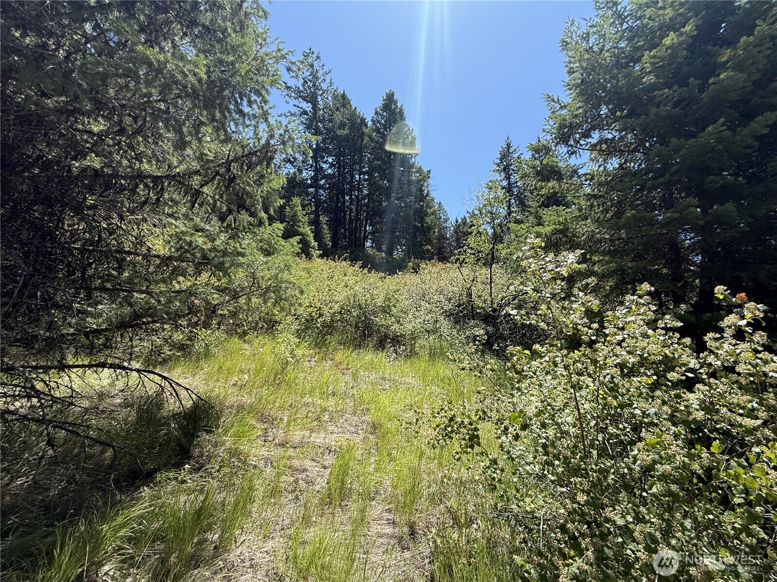 135 Slippery Hill Lane Republic WA 99166