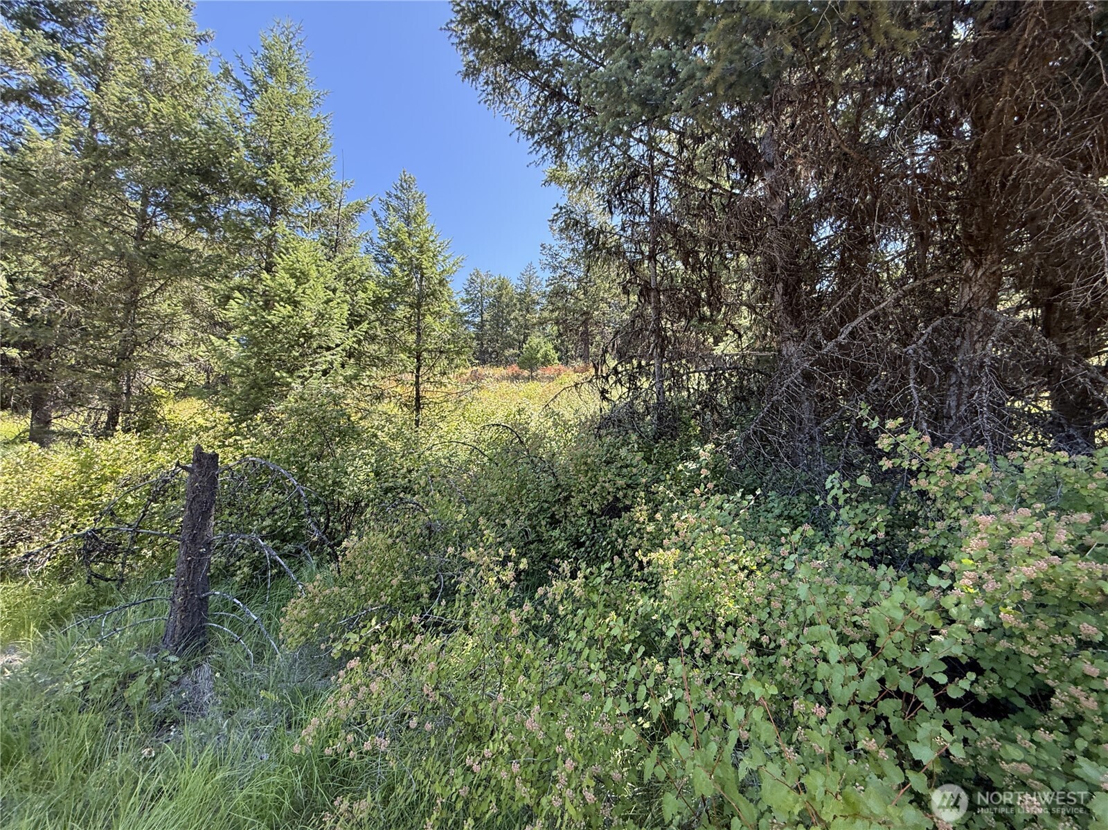 135 Slippery Hill Lane Republic WA 99166