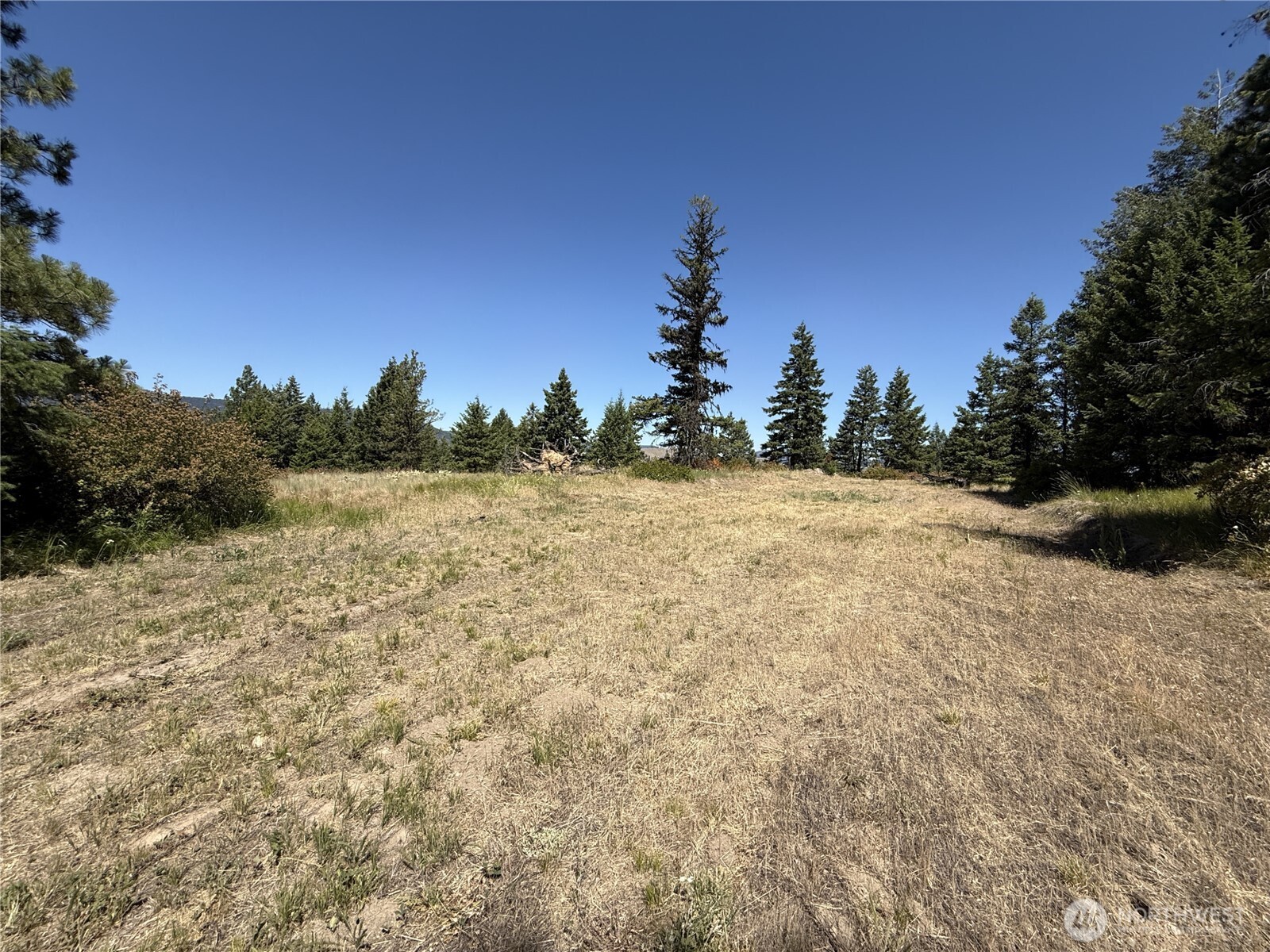 135 Slippery Hill Lane Republic WA 99166