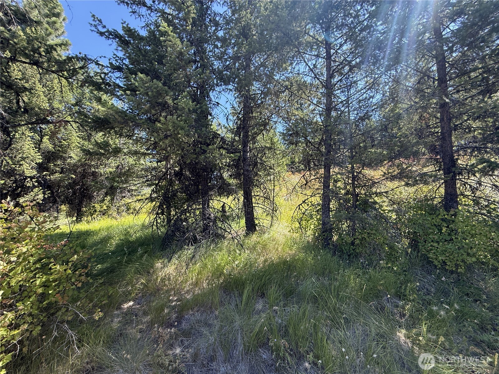 135 Slippery Hill Lane Republic WA 99166