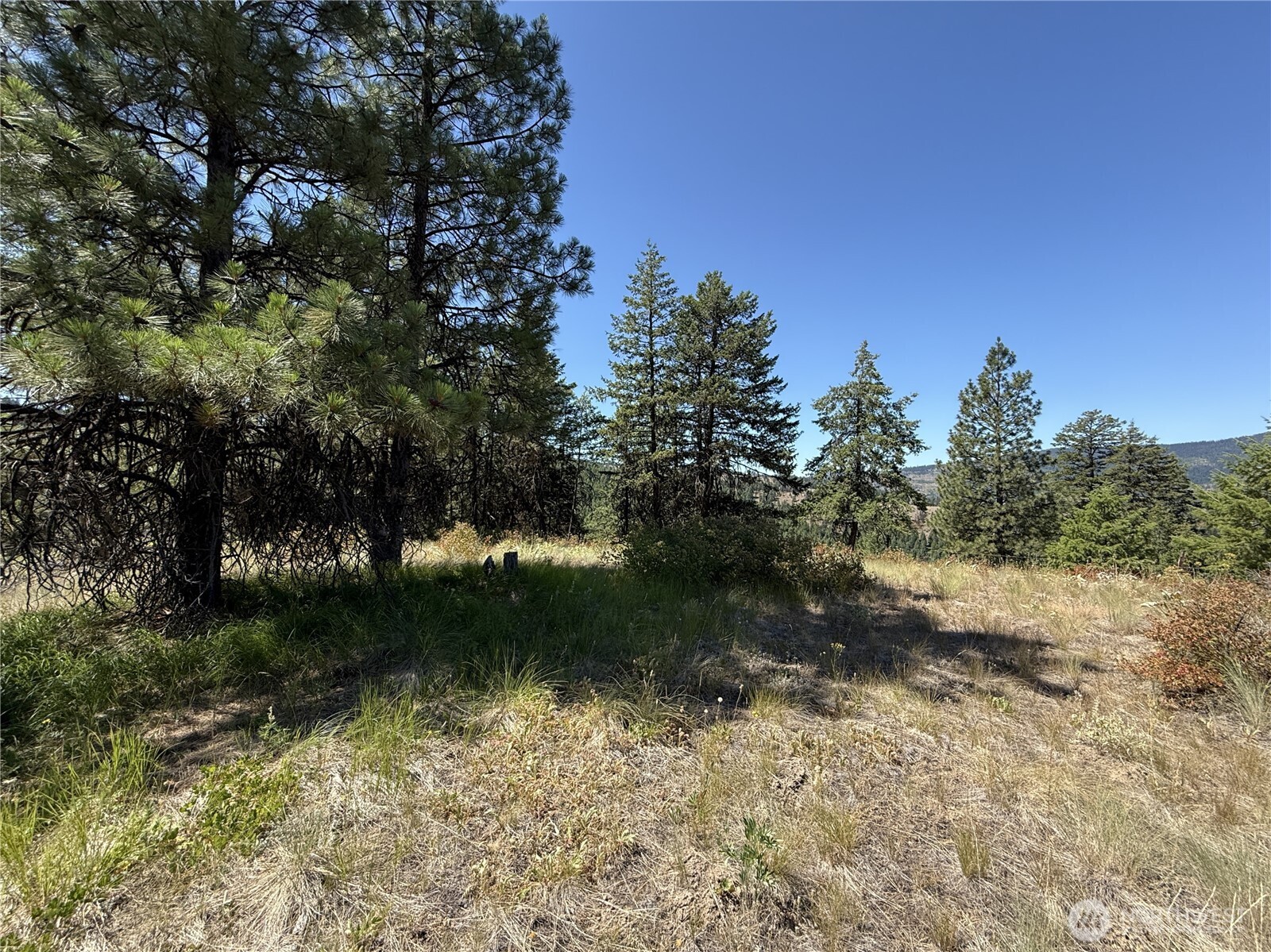 135 Slippery Hill Lane Republic WA 99166