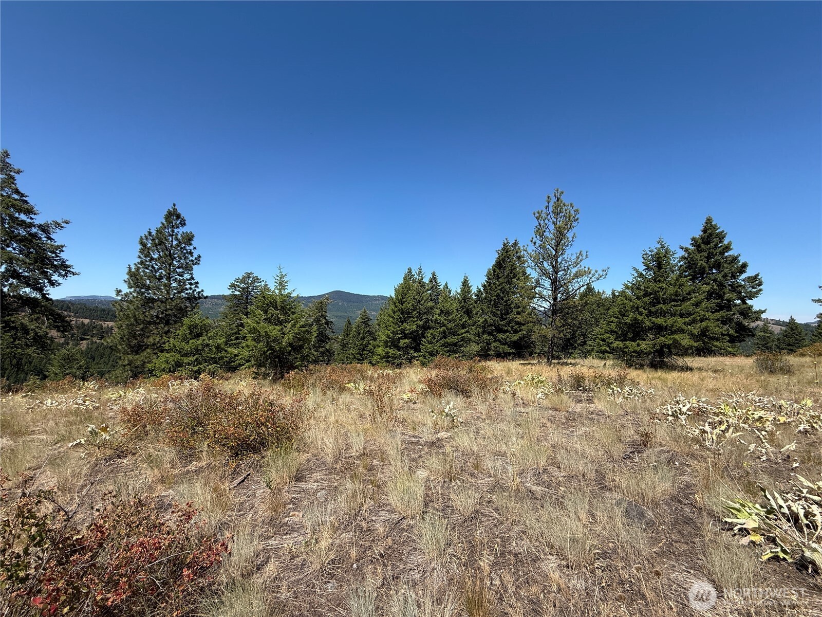 135 Slippery Hill Lane Republic WA 99166