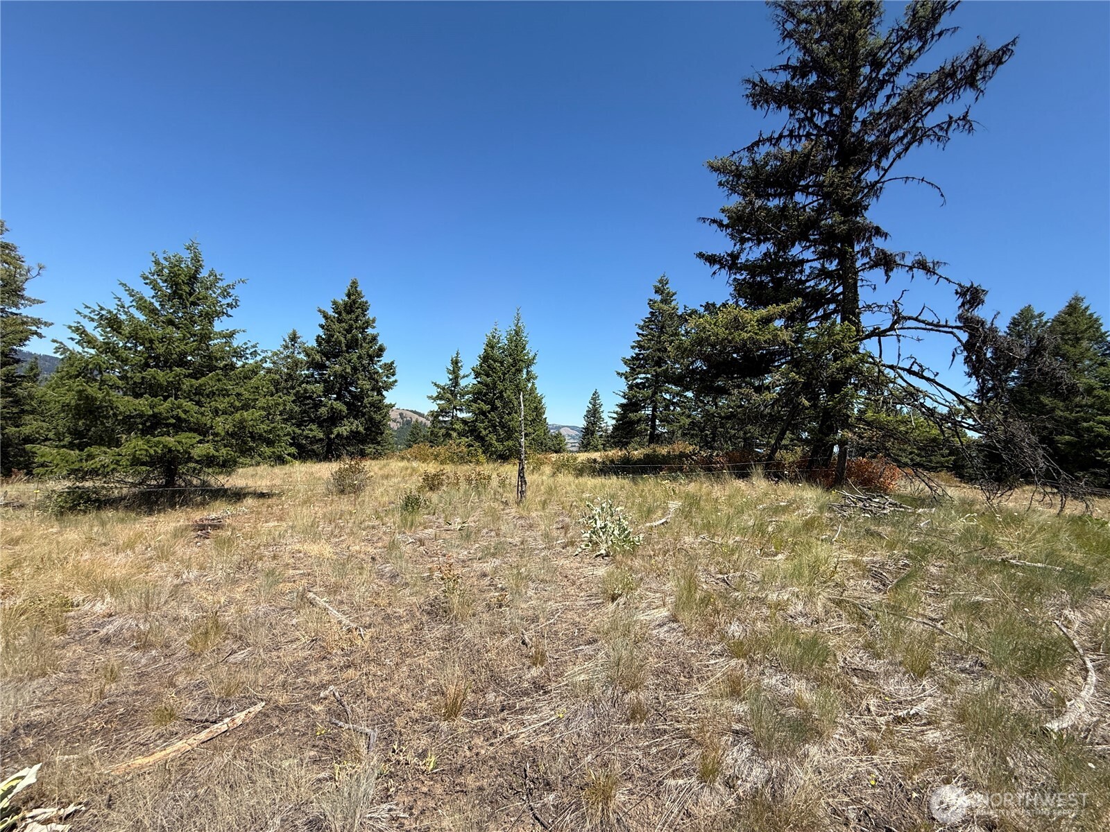 135 Slippery Hill Lane Republic WA 99166