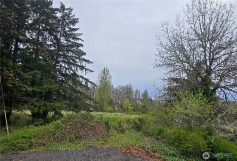 198 Chandler Road Doty WA 98539