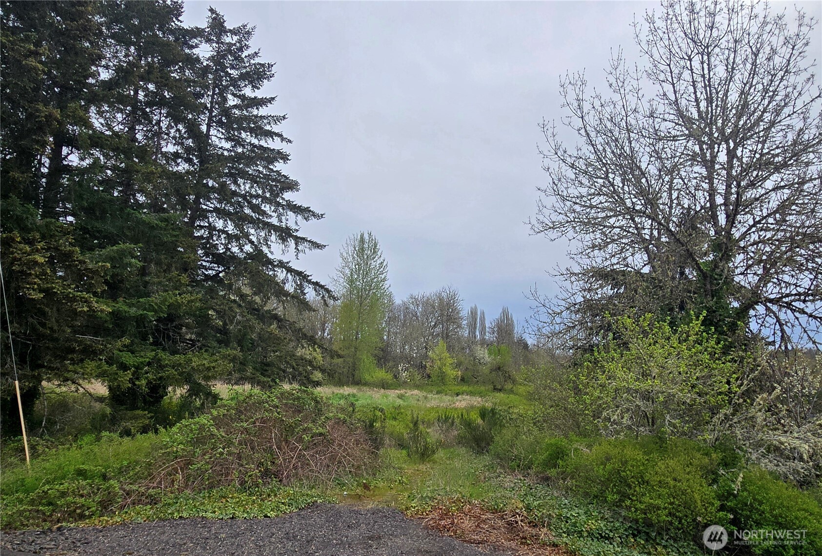 198 Chandler Road Doty WA 98539