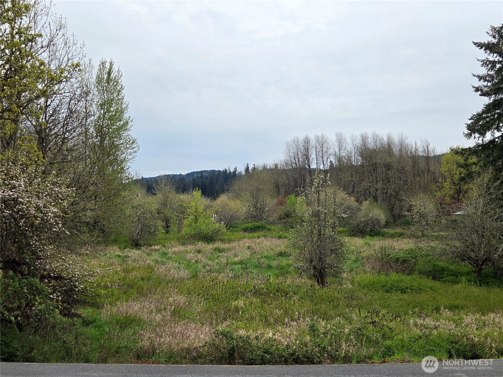 198 Chandler Road Doty WA 98539