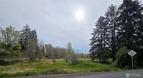 198 Chandler Road Doty WA 98539