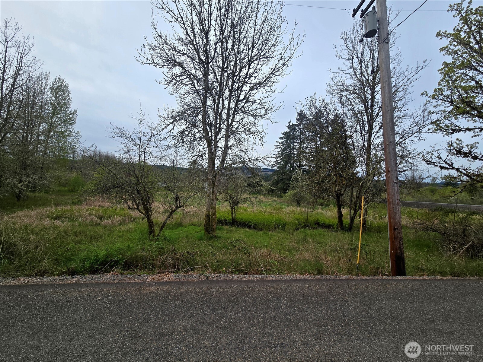 198 Chandler Road Doty WA 98539