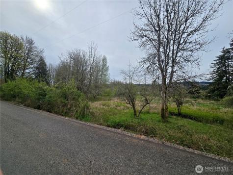 198 Chandler Road Doty WA 98539