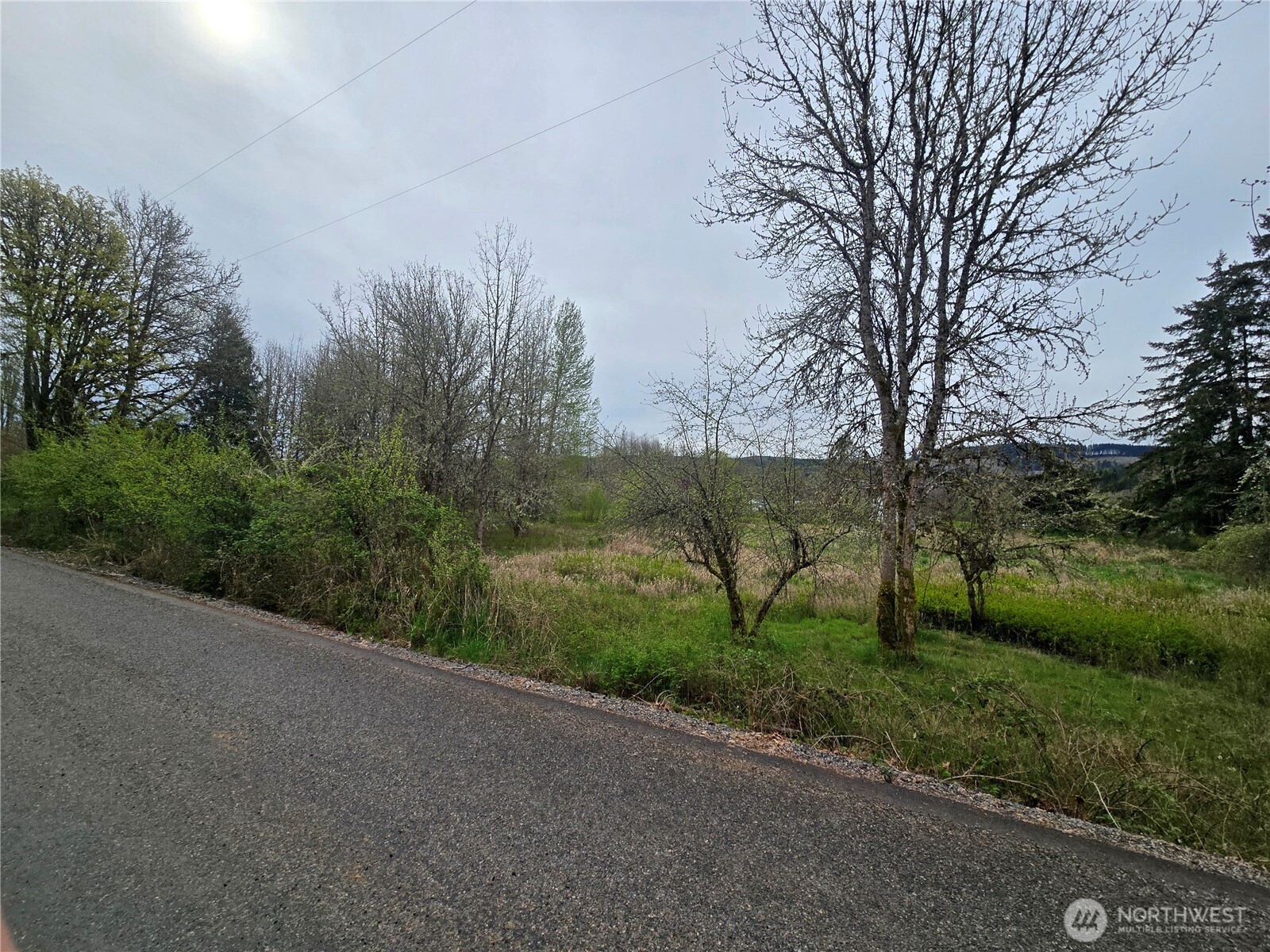 198 Chandler Road Doty WA 98539