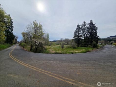 198 Chandler Road Doty WA 98539