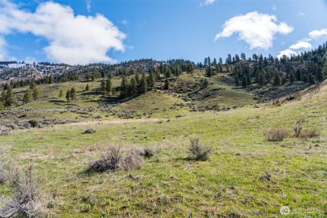 7993 Nahahum Canyon Road Cashmere WA 98815