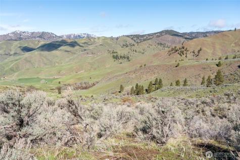 7993 Nahahum Canyon Road Cashmere WA 98815