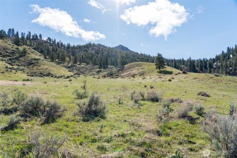 7993 Nahahum Canyon Road Cashmere WA 98815