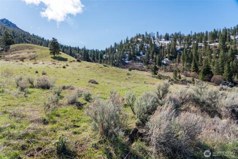 7993 Nahahum Canyon Road Cashmere WA 98815