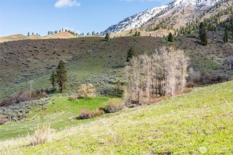 7993 Nahahum Canyon Road Cashmere WA 98815