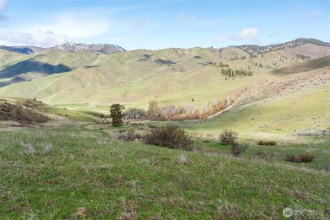 7993 Nahahum Canyon Road Cashmere WA 98815