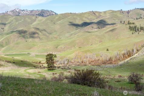 7993 Nahahum Canyon Road Cashmere WA 98815