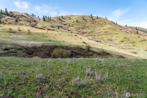 7993 Nahahum Canyon Road Cashmere WA 98815