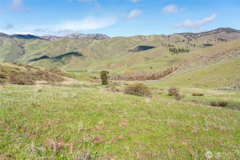 7993 Nahahum Canyon Road Cashmere WA 98815