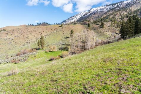 7993 Nahahum Canyon Road Cashmere WA 98815