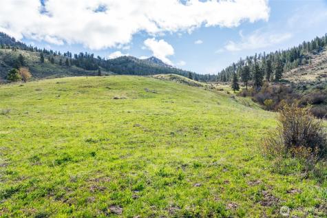 7993 Nahahum Canyon Road Cashmere WA 98815
