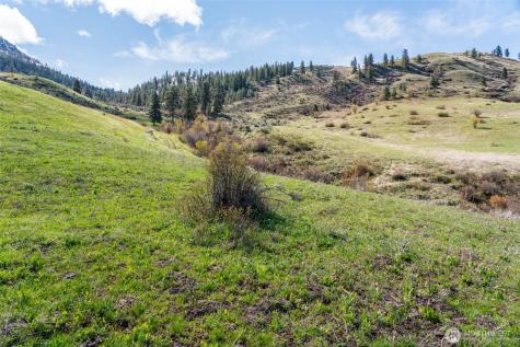 7993 Nahahum Canyon Road Cashmere WA 98815