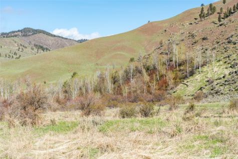 7993 Nahahum Canyon Road Cashmere WA 98815