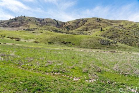 7993 Nahahum Canyon Road Cashmere WA 98815