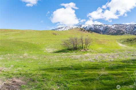 7993 Nahahum Canyon Road Cashmere WA 98815