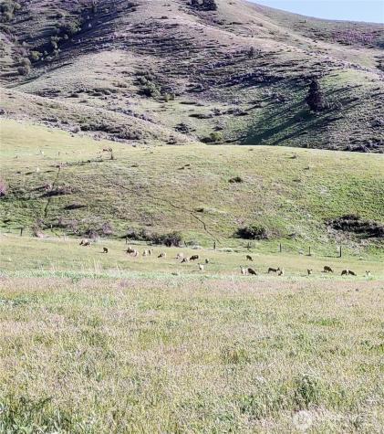 7993 Nahahum Canyon Road Cashmere WA 98815