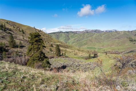 7993 Nahahum Canyon Road Cashmere WA 98815