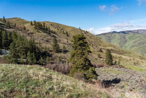 7993 Nahahum Canyon Road Cashmere WA 98815