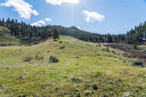 7993 Nahahum Canyon Road Cashmere WA 98815