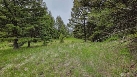 196 Davies Road Oroville WA 98844