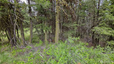 196 Davies Road Oroville WA 98844