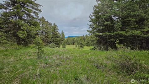 196 Davies Road Oroville WA 98844