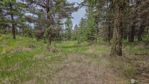 196 Davies Road Oroville WA 98844