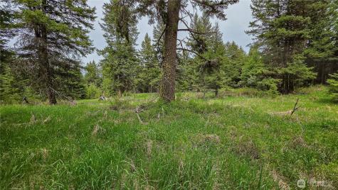 196 Davies Road Oroville WA 98844